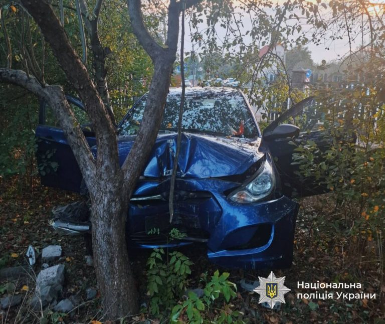 У Крихівцях водій зніс огорожу та в'їхав на приватну територію (ФОТО) 9 IMG 20250907 201953 122