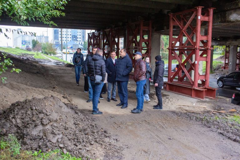 Старий та новий мости, Німецьке озеро та лебеді: мер Марцінків провів чергову інспецію 1 558177346 1399307511765501 8566129250479618152 n