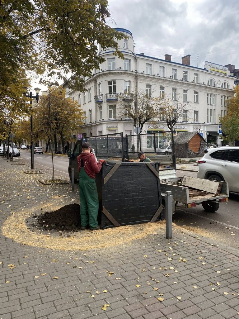 У Франківську на місці видалених пнів посадять нові дерева (ФОТО) 6 562484554 1384035543723837 4664586739530961631 n