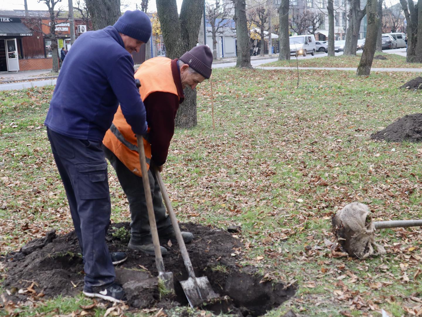 Акації, платани та катальпи: у Коломиї висадять понад 100 дерев (ФОТО) 2 573530981 1541943991268642 6483707158982478415 n