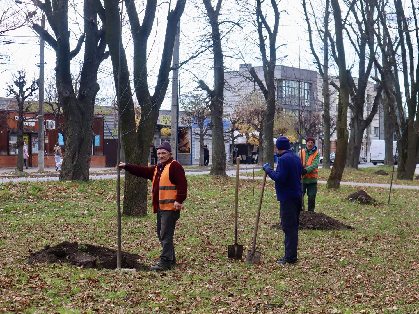 Акації, платани та катальпи: у Коломиї висадять понад 100 дерев (ФОТО) 3 574451677 1541943994601975 9026178897426115017 n