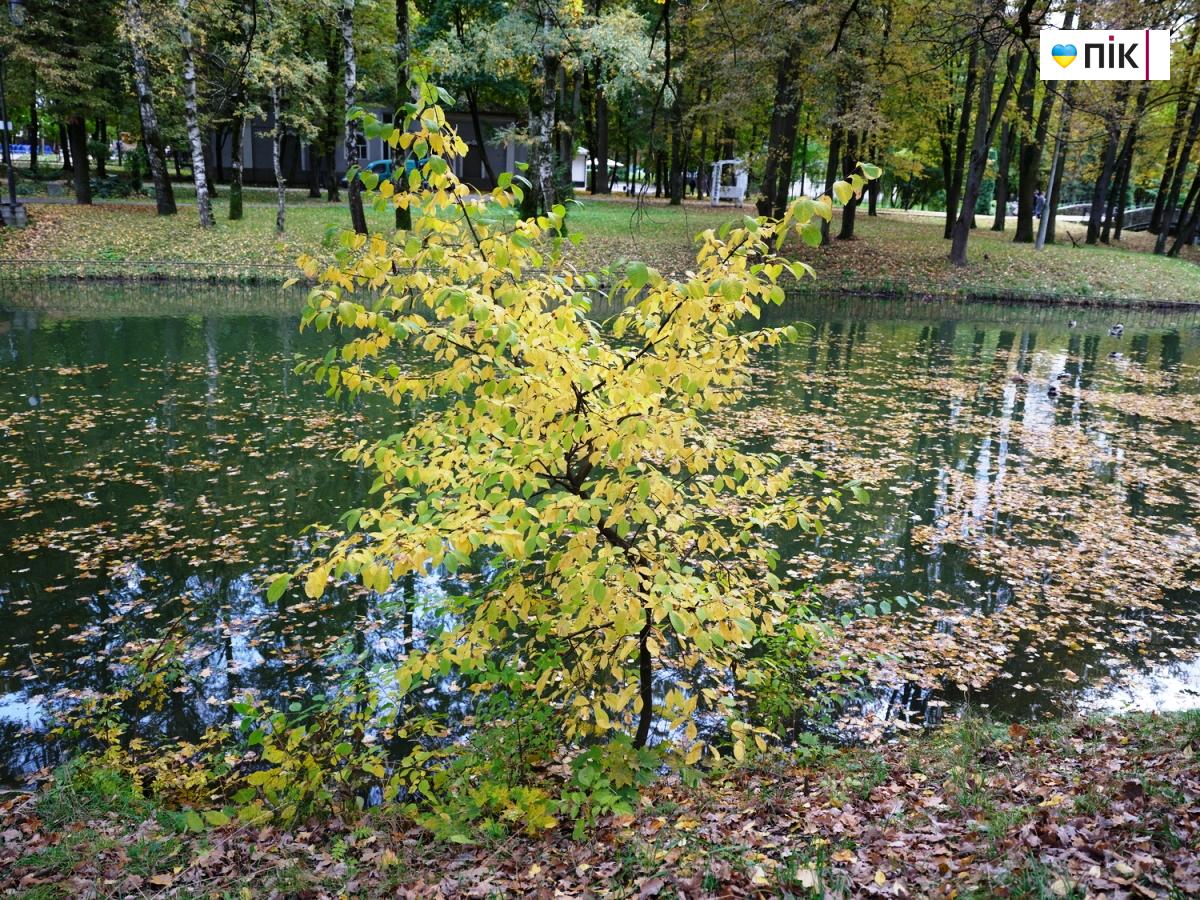 DSCF1574 resize