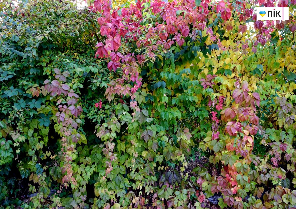 DSCF1639 kopiya resize