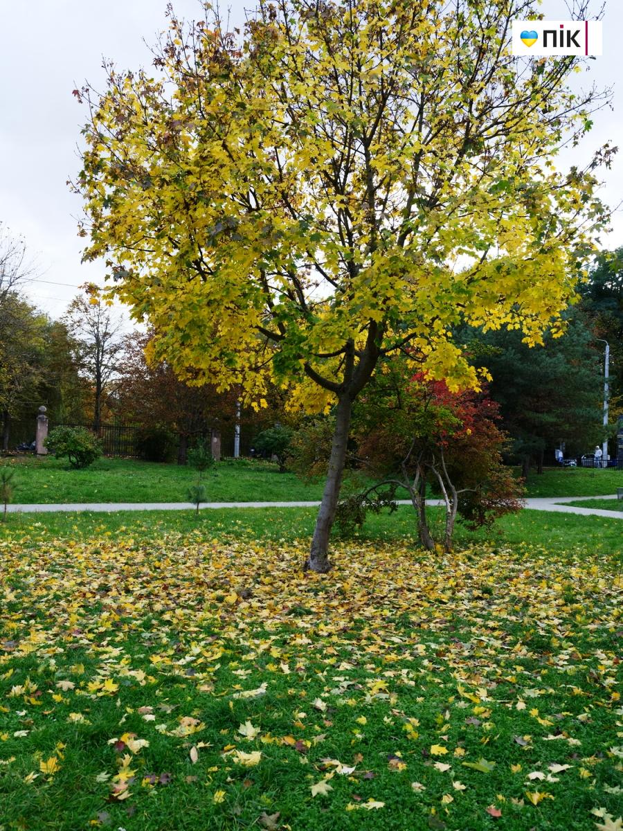 DSCF1652 resize