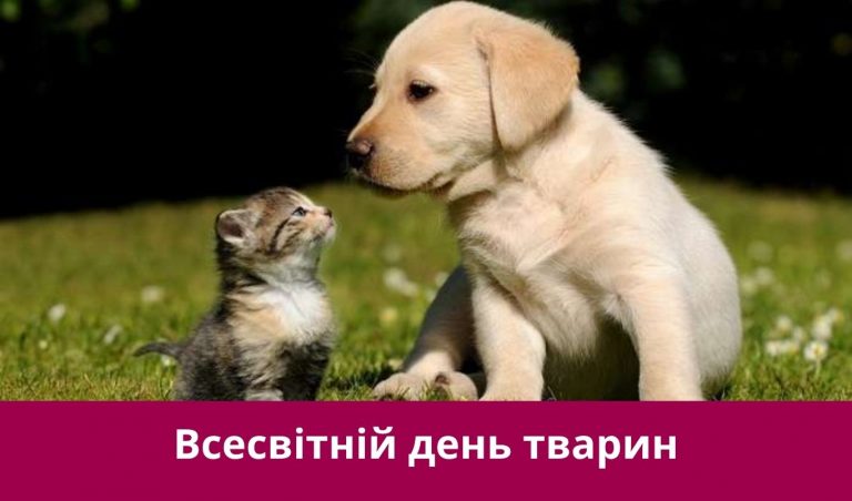 Четверте жовтня 2025 року: яке сьогодні свято, події, іменини 11 NA SAJT KARTYNKA 4