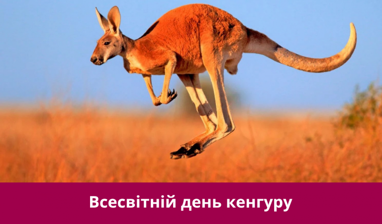 24 жовтня 2025 року: яке сьогодні свято, події, іменини 10 NA SAJT KARTYNKA 20251024 065559 0000