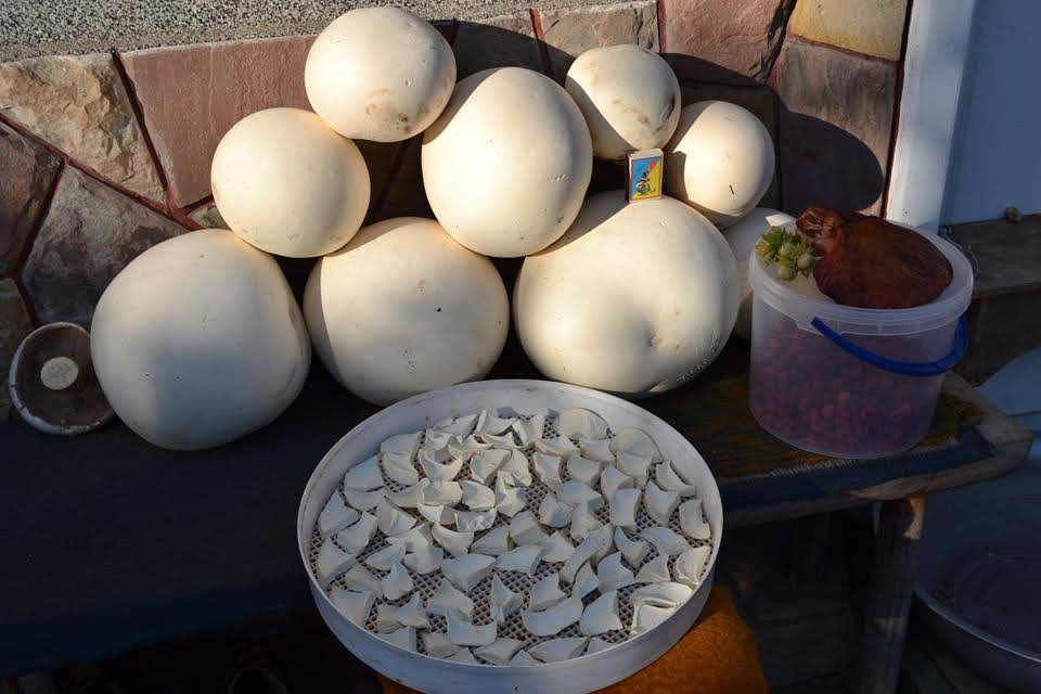 photo 2025 10 12 10 59 50 4