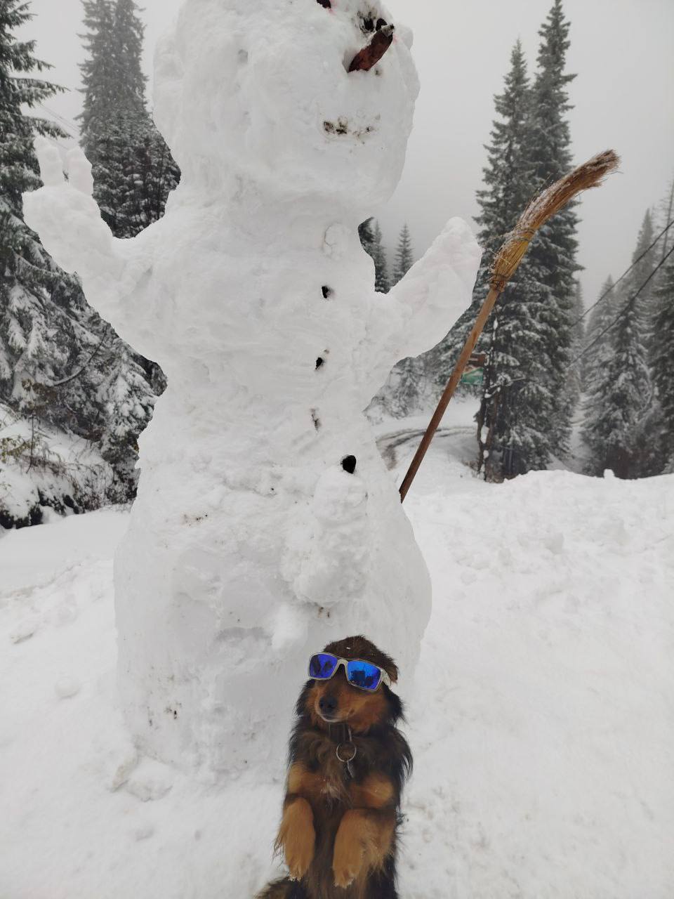 Карпати засипало снігом: Драгобрат перетворився на зимову казку (ВІДЕО) 2 photo 2025 10 28 16 26 25 2