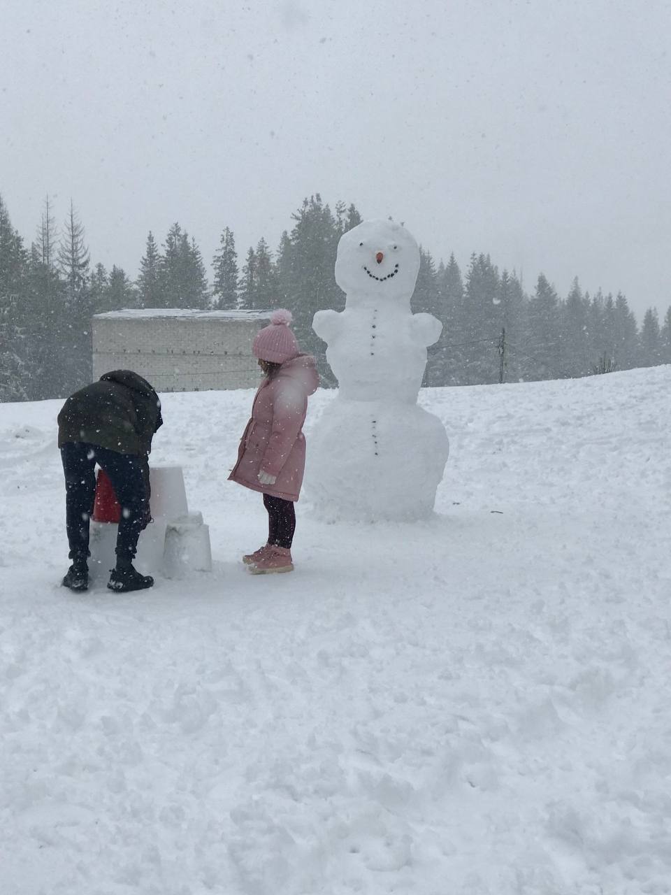 Карпати засипало снігом: Драгобрат перетворився на зимову казку (ВІДЕО) 3 photo 2025 10 28 16 26 25