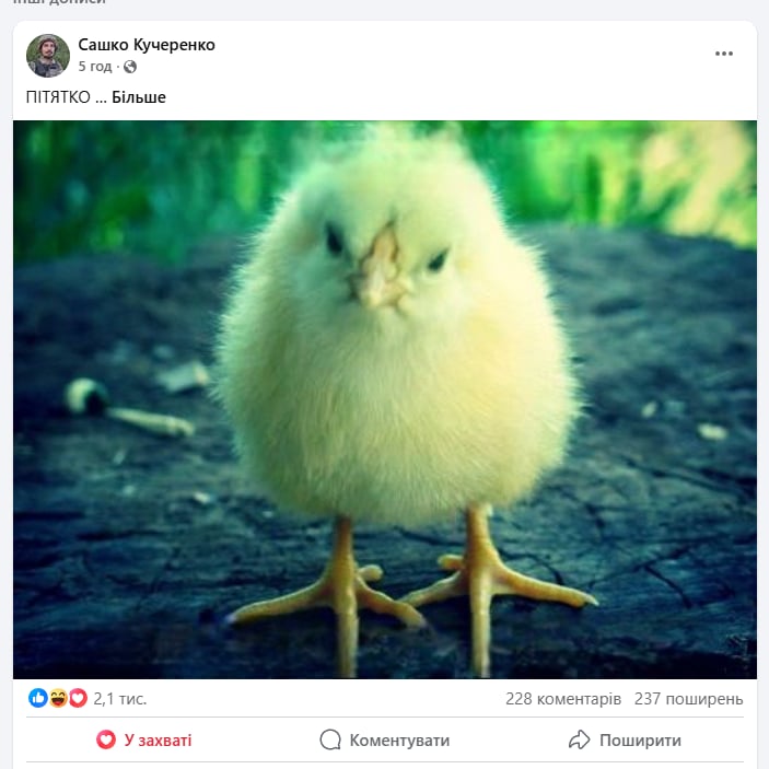 Радіодиктант-2025: що вийшло б, якби його текст склали в Прикарпатті та інших регіонах 12 photo 2025 10 31 17 41 03 3