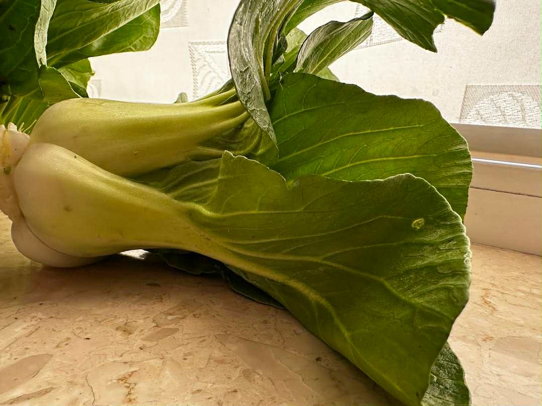 05ac886a 8ff2 4596 a666 a5b430d03744