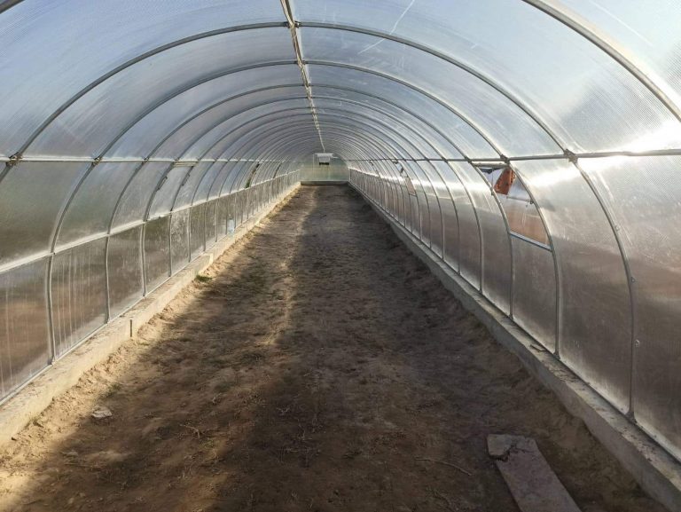 0 02 05 f260d7b554cf4a6577db54f7491f786b724539c290cda2a24f353424b77499f721 768x577 1