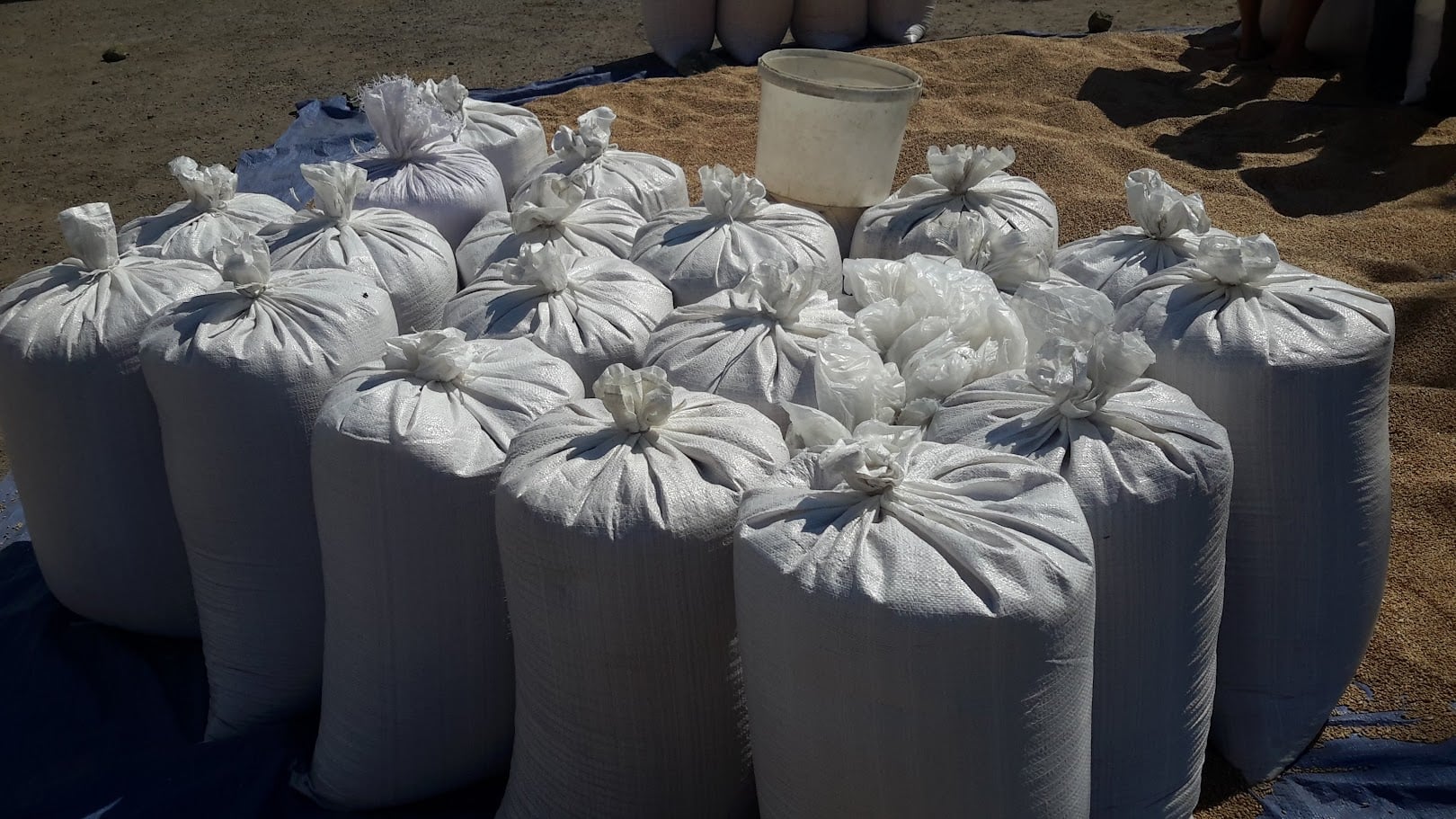 394c4d24 d831 4b89 b917 99264fd079fb