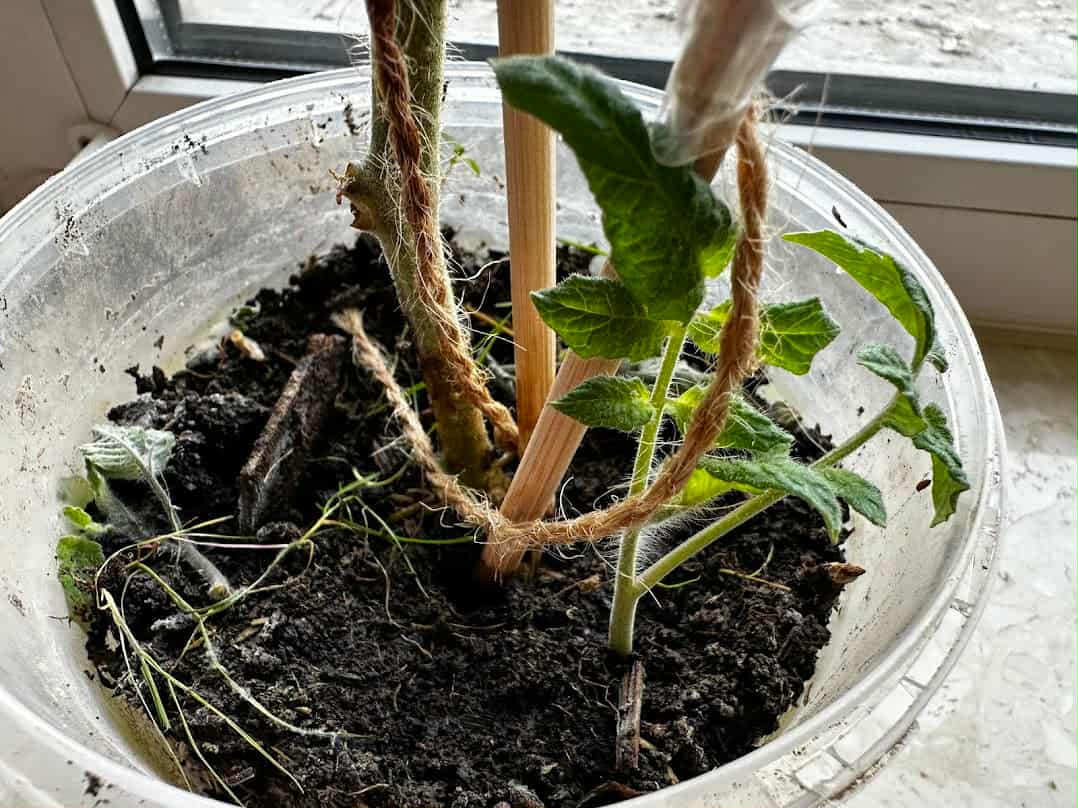 52221cbf d8ad 4608 a66f d8ba6ff9df81