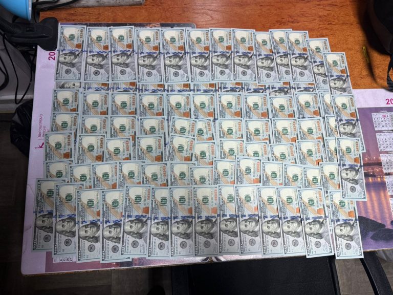 Жителька Прикарпаття хотіла вивезти з України понад 8 тисяч доларів без декларування 1 Жителька Прикарпаття хотіла вивезти з України понад 8 тисяч доларів без декларування