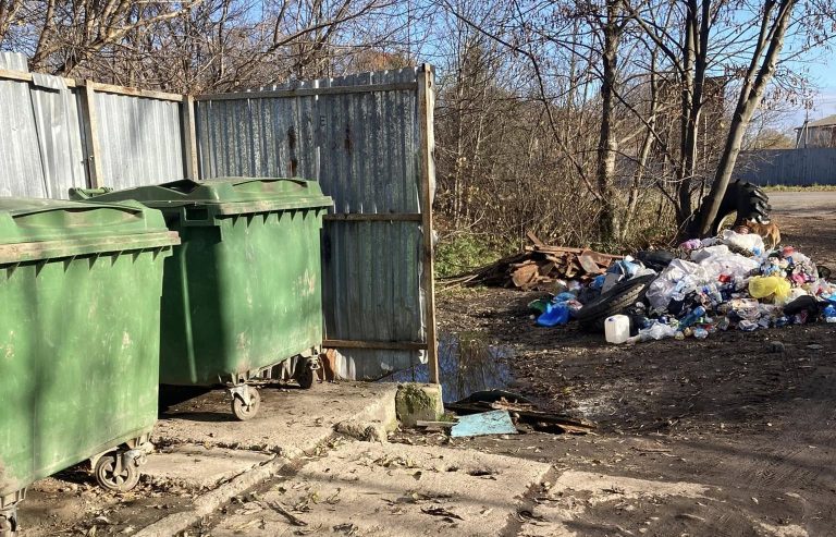 У Долині знову знайшли купи сміття поруч із порожніми контейнерами (ФОТО)