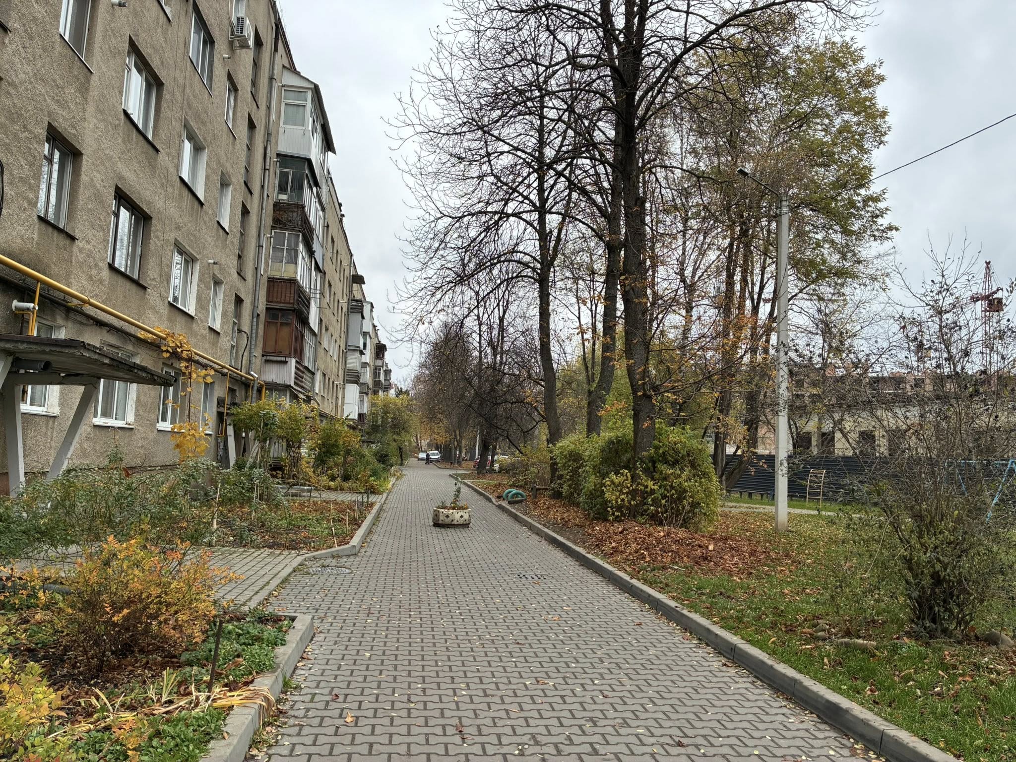 575740457 1401175285343196 5445619102669541137 n