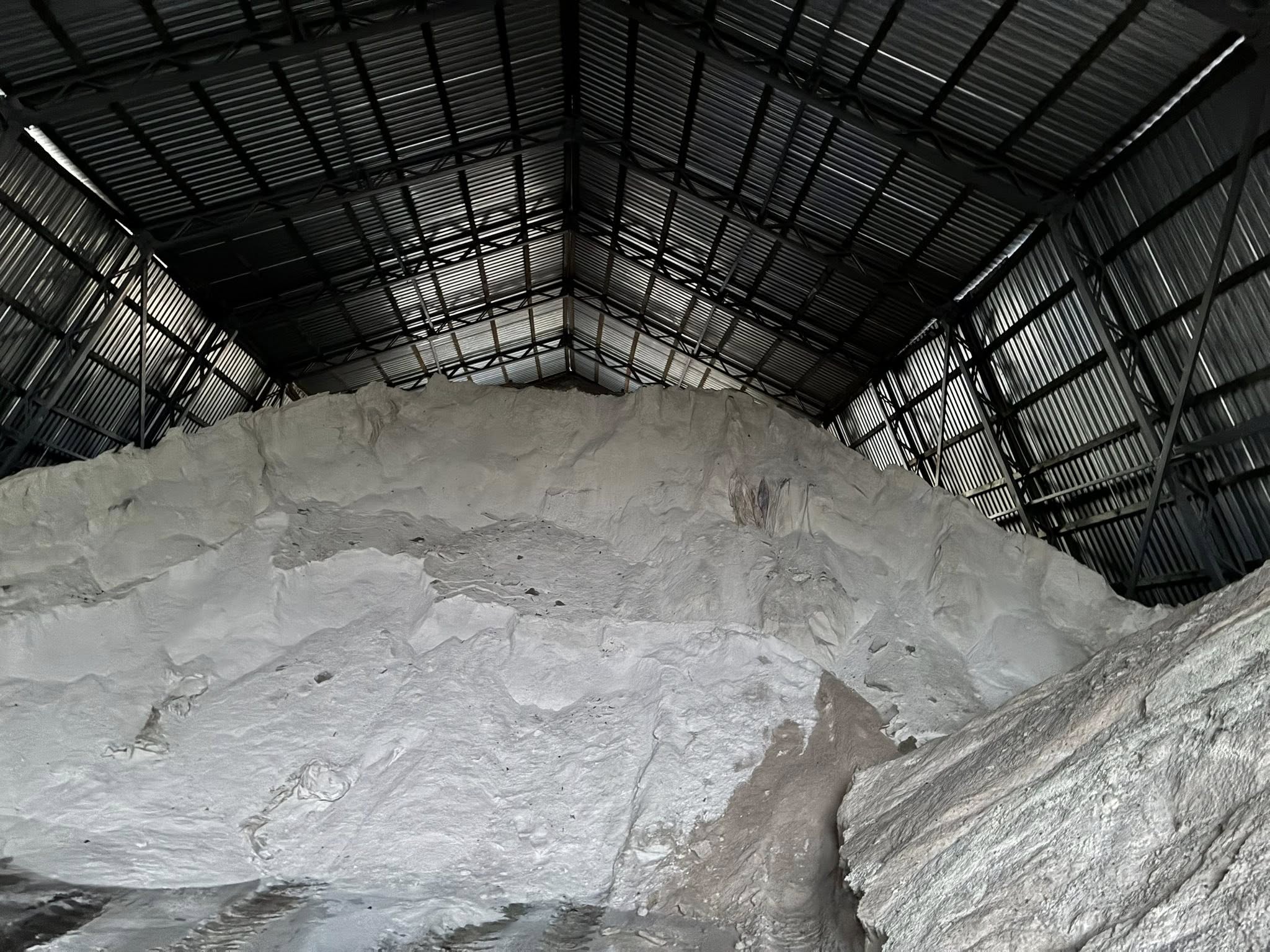 589277228 1420581936735864 690901992972017669 n