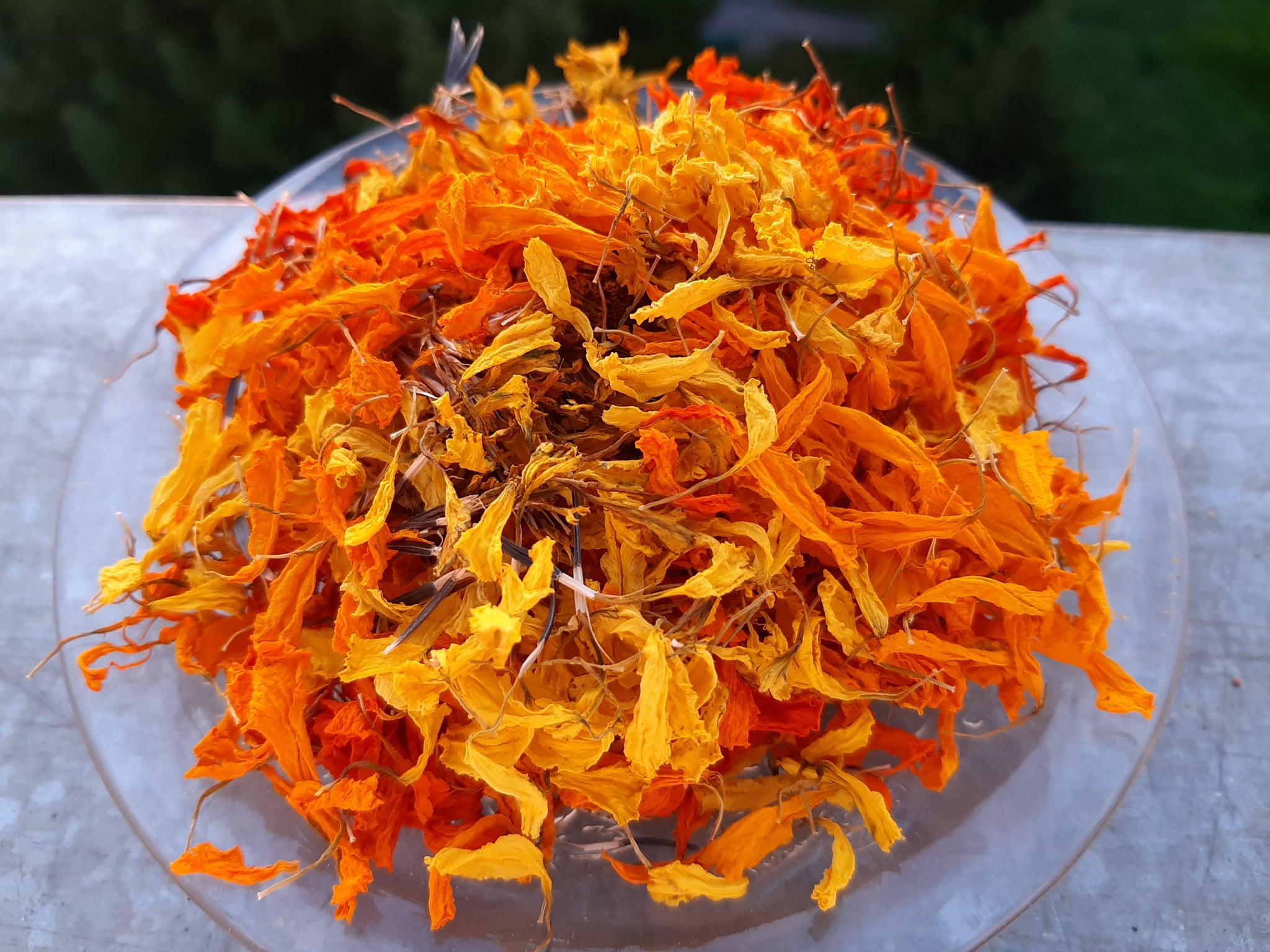 706ede5d 9af5 4cdb 814d 133b9f09a9dc