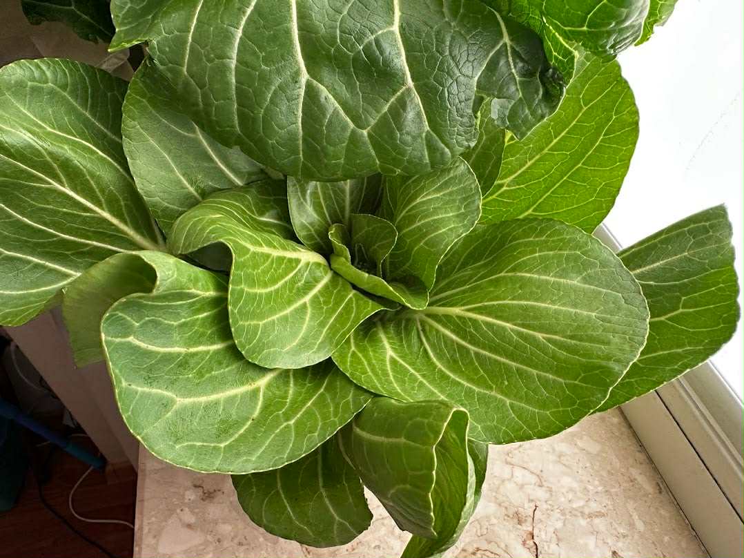 7db9737b 69ca 498f b6b3 04f6070ef489