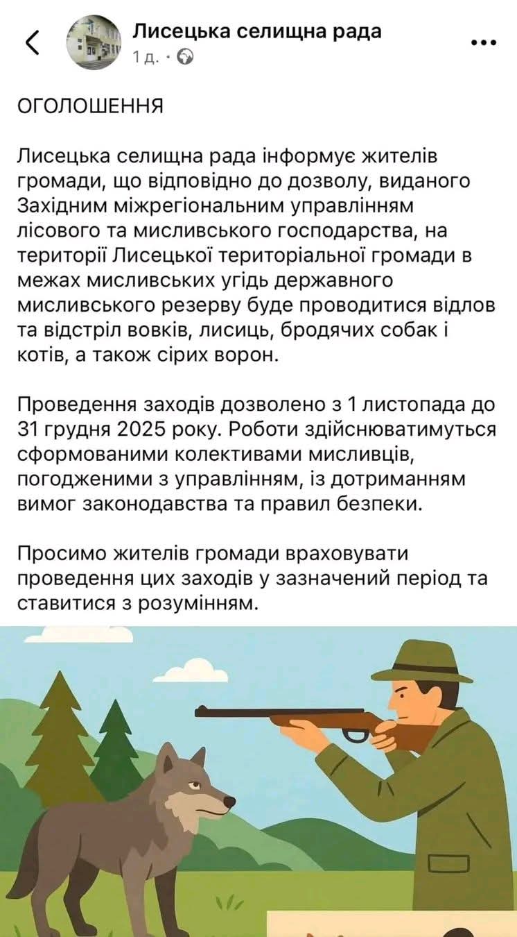 Лисецька селищна рада пояснила резонансне оголошення про відстріл тварин: собак і котів не вбиватимуть 2 FB IMG 1763315874799