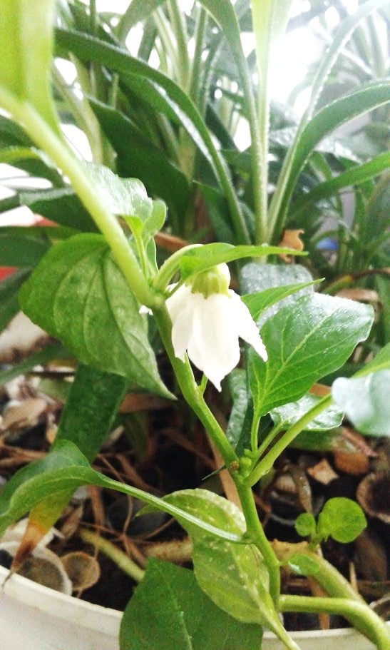 b543f196 a134 4b8b abcb e55a0510c52d