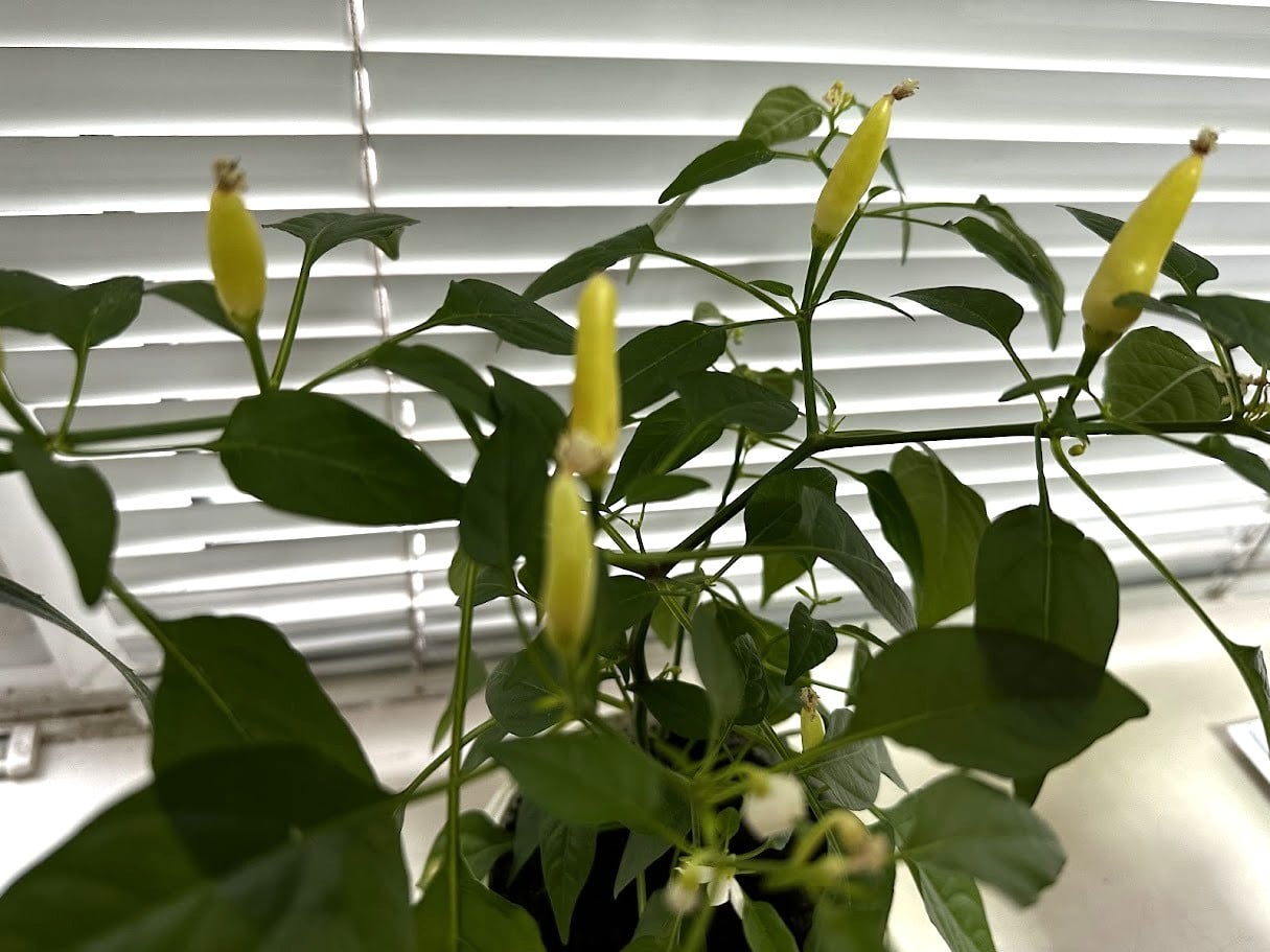 db9b3676 2074 4ad6 b3c7 3d46f6763d10