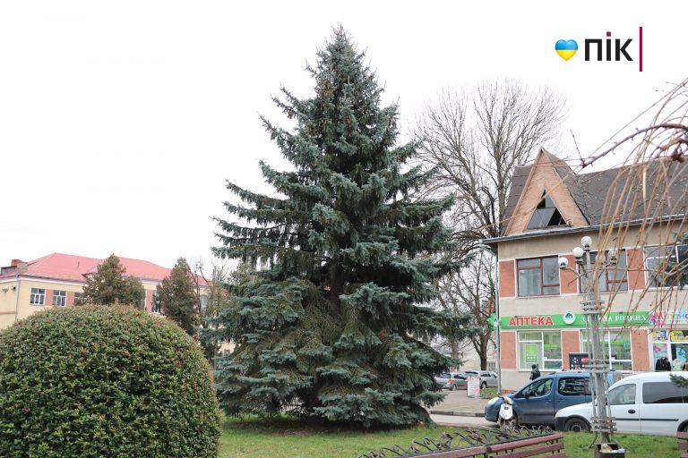 Стало відомо, чи буде у Тлумачі цьогоріч новорічна ялинка