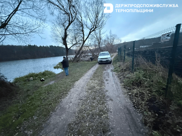 У Тернопільській області знайшли мертву дику свиню, яка була заражена (ФОТО) 9 У Тернопільській області знайшли мертву дику свиню, яка була заражена (ФОТО)
