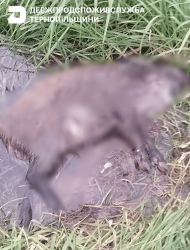 img 3cf9ca54299d8d5c6c399a4ac851c523