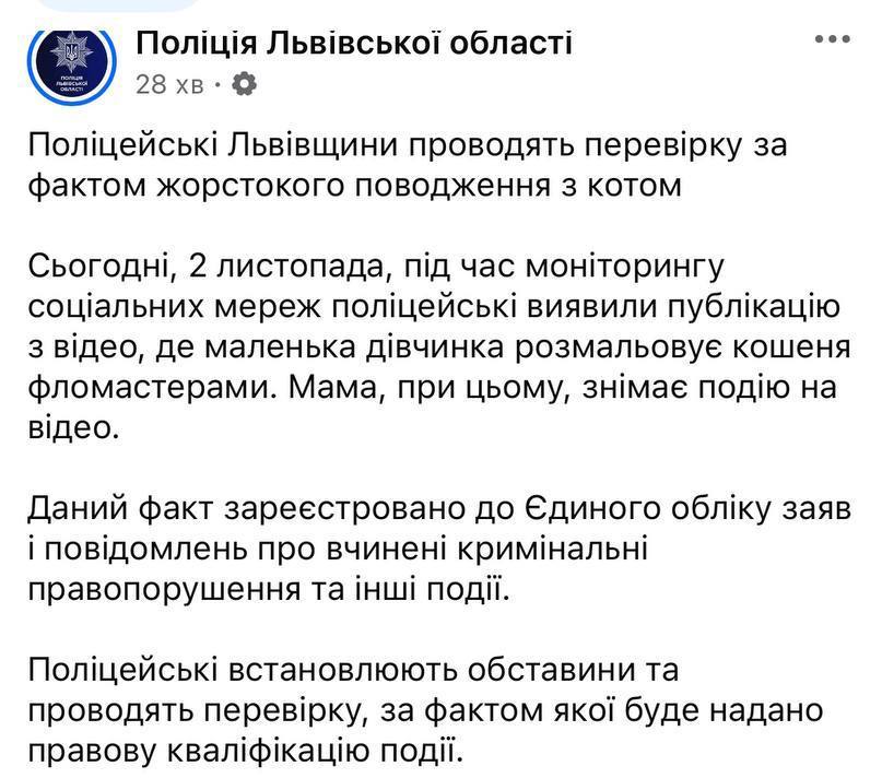 У Львові поліція проводять перевірку за фактом жорстокого поводження з котом (ВІДЕО) 2 photo 2025 11 02 17 53 16