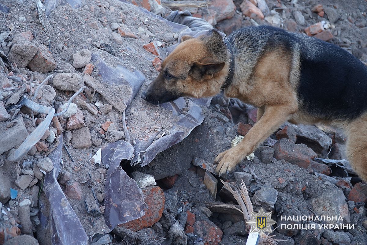 У Тернополі триває пошук безвісти зниклих людей внаслідок російської атаки v8 4661008380ba6ccf29f16425e4847ae6