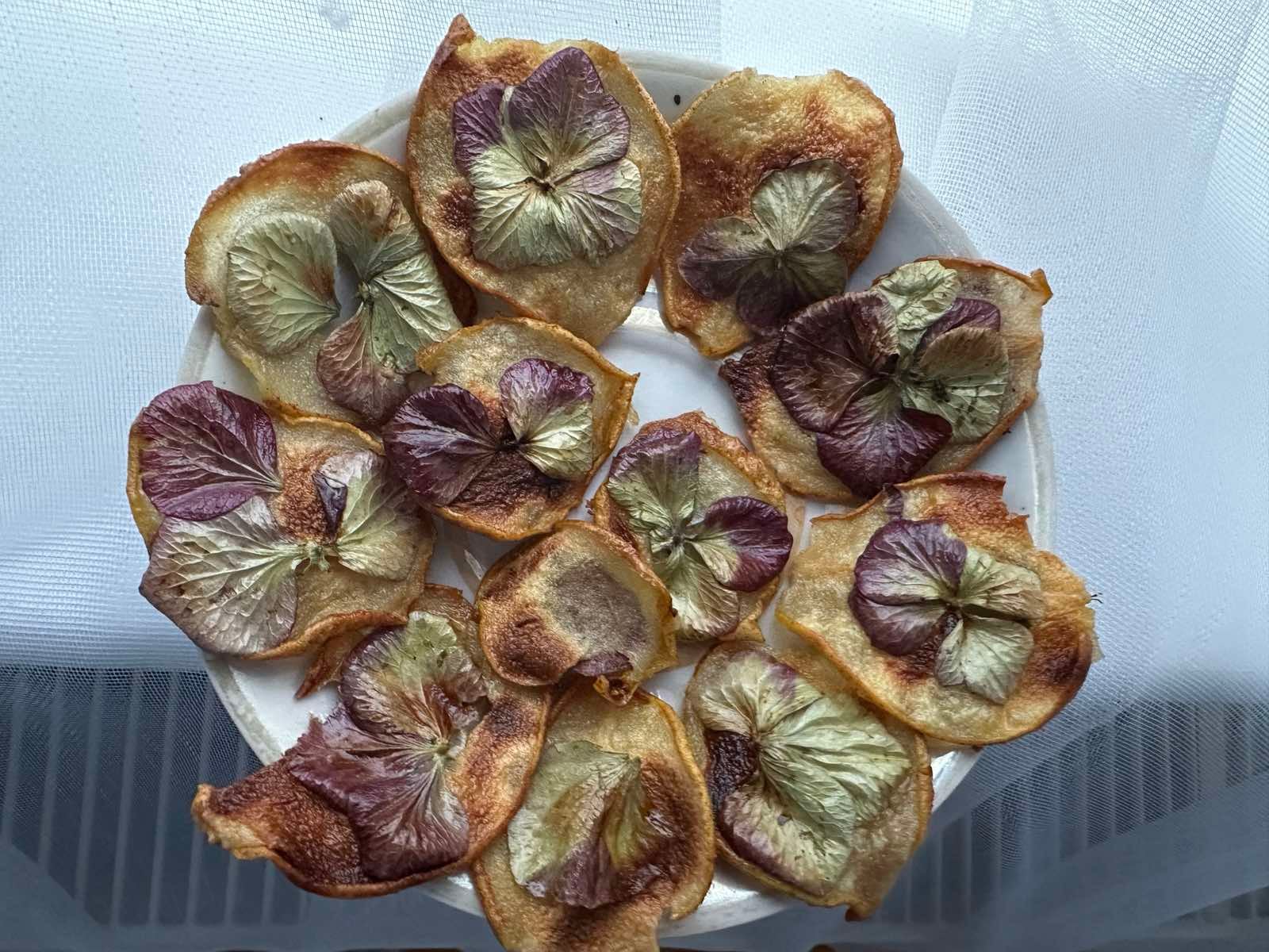 Рецепти на вихідні: передсвятковий кулінарний марафон – без утоми (ФОТО) 5 13d6d753 fb61 4034 a8ba b571ae195ca4