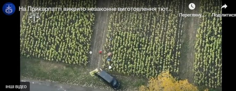 На Прикарпатті викрили нелегальний тютюновий бізнес: хто організував схему (ВІДЕО) 10 На Прикарпатті викрили нелегальний тютюновий бізнес: хто організував схему (ВІДЕО)