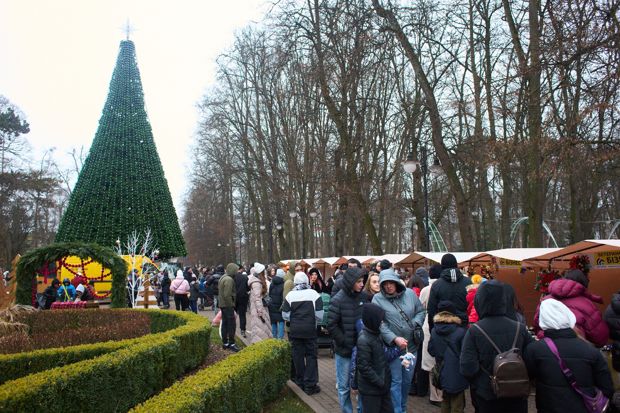 У містах Прикарпаття відкрили головні новорічні ялинки (ФОТО) 2 594078474 1450294600000125 6684874751034398193 n