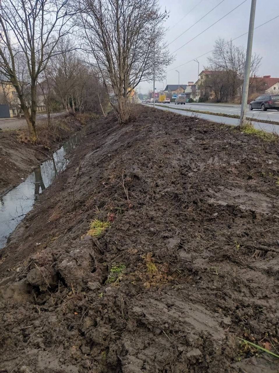 594509357 1426346056159452 4950522775902089525 n