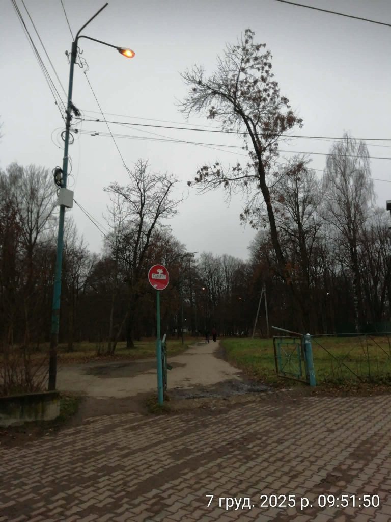 У Надвірній стався збій у системі керування вуличним освітленням 9 594859661 1321878759764650 49973972827728223 n