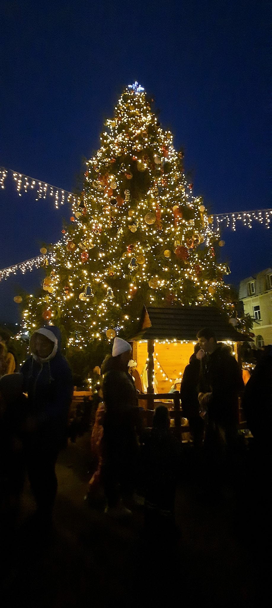 У містах Прикарпаття відкрили головні новорічні ялинки (ФОТО) 7 595383101 1271567094999627 3773972958444300444 n