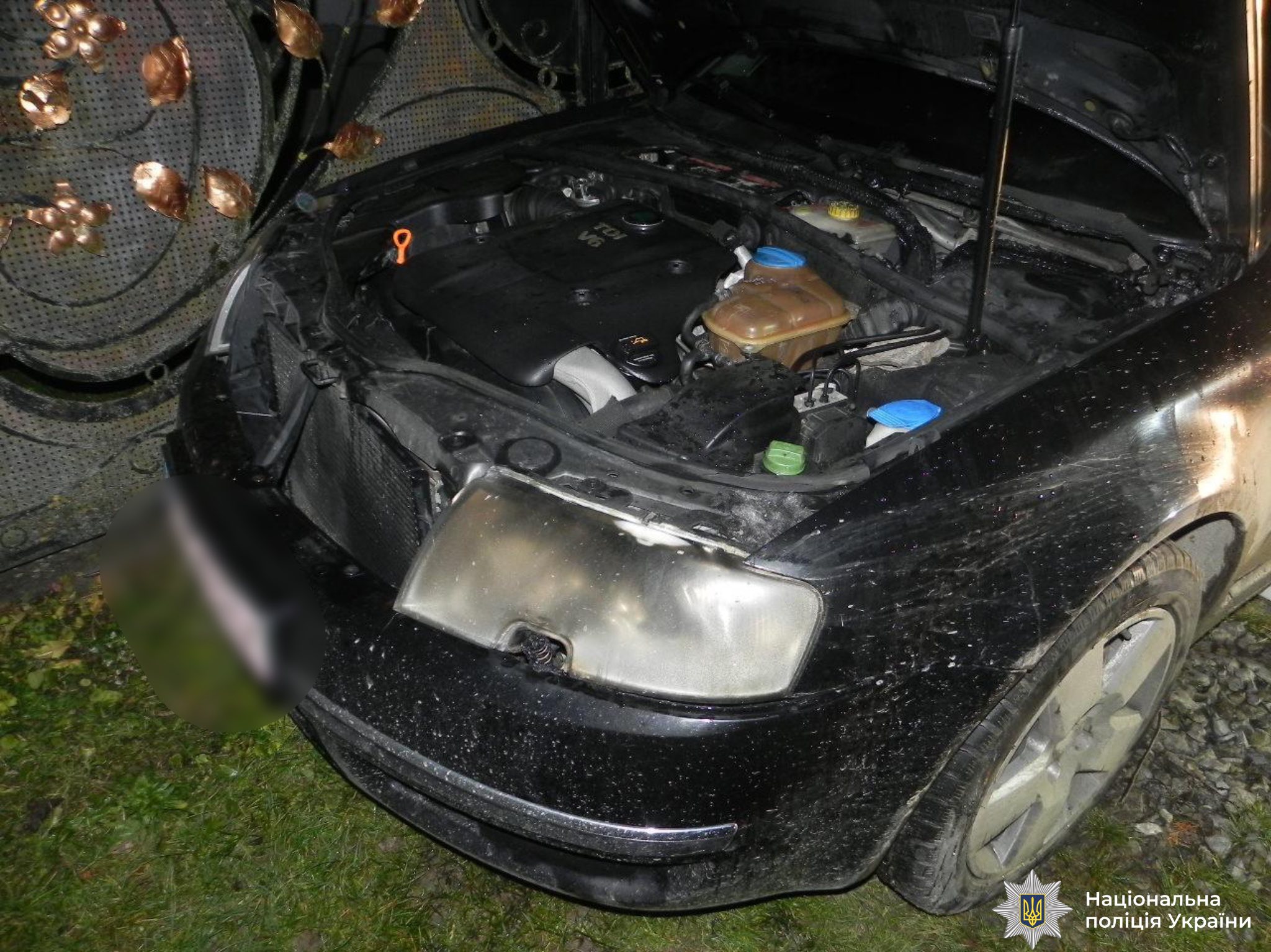 597731962 862568543084043 3177990167161754374 n