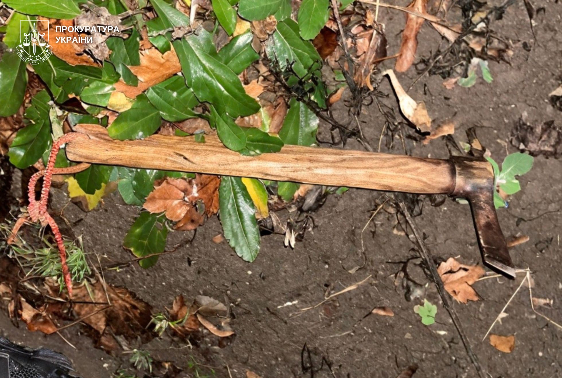 597822846 1270261771802105 141297378030307484 n