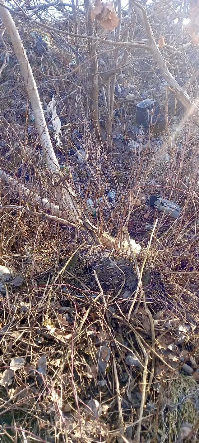 На Івано-Франківщині виявили стихійне сміттєзвалище: інспекція б’є на сполох (ФОТО) 2 597860365 1178474654471746 5888075160414845598 n