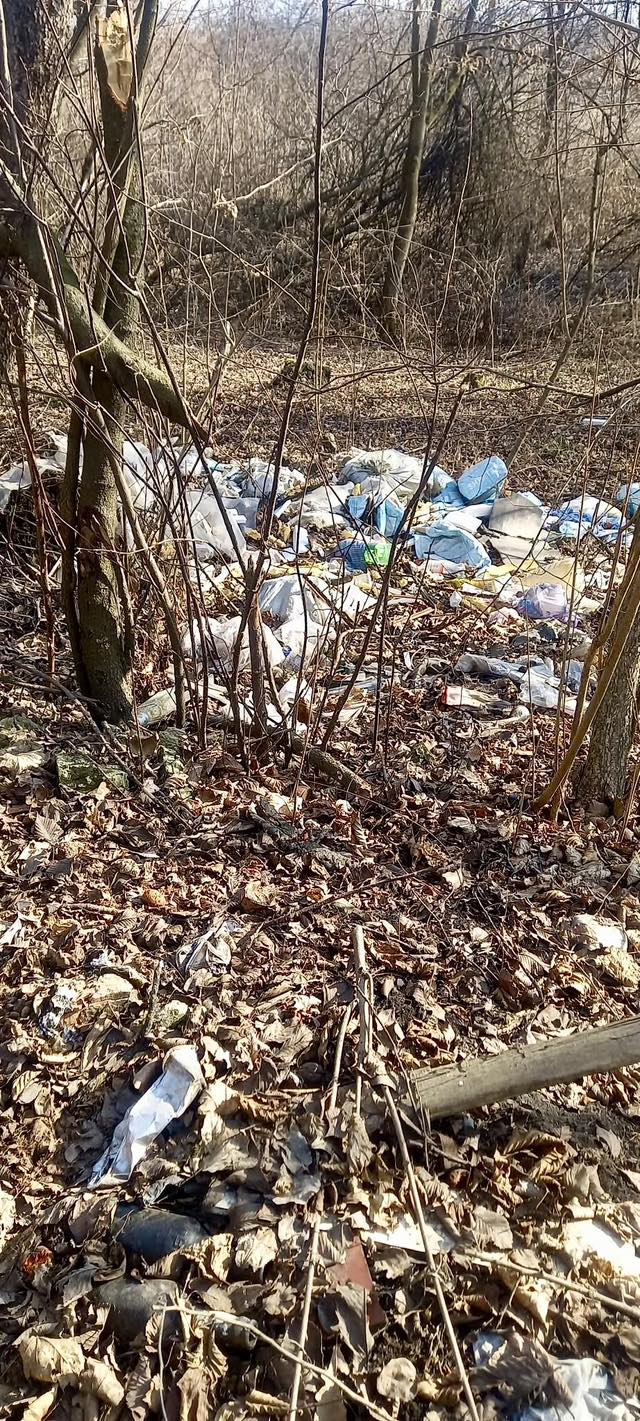 На Івано-Франківщині виявили стихійне сміттєзвалище: інспекція б’є на сполох (ФОТО) 3 597869358 1178474671138411 6798285418379119198 n