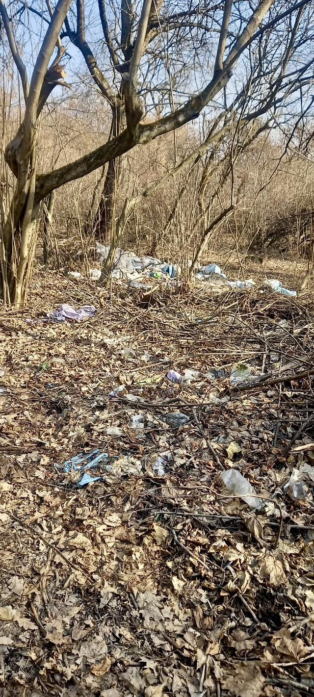 На Івано-Франківщині виявили стихійне сміттєзвалище: інспекція б’є на сполох (ФОТО) 4 598419078 1178474624471749 1052132206950089674 n