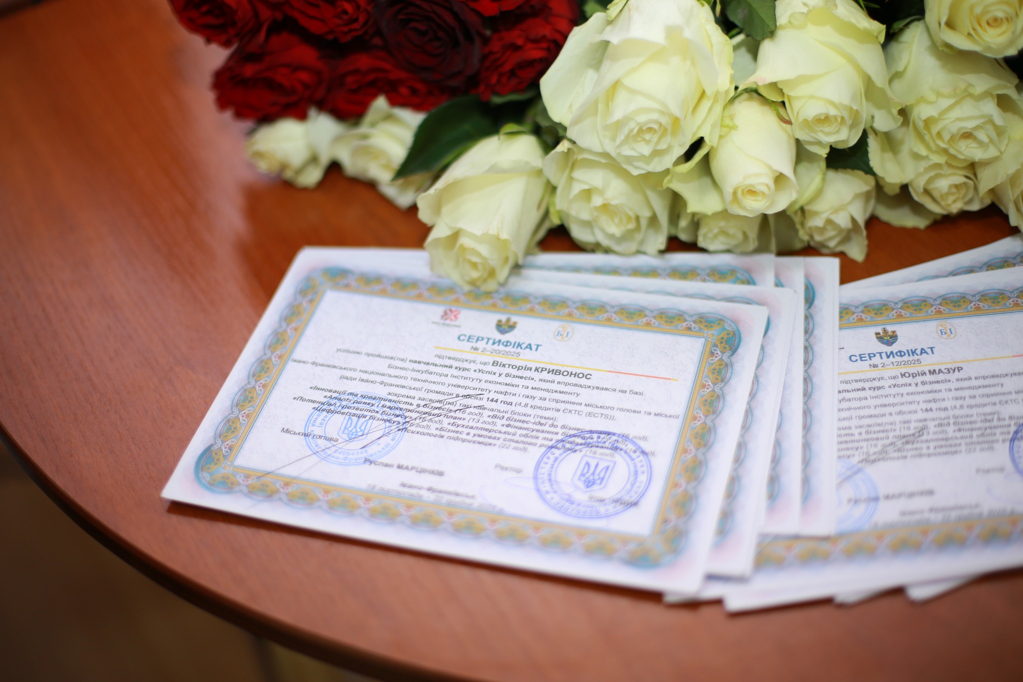 603923637 1462119652150953 951156328801834054 n