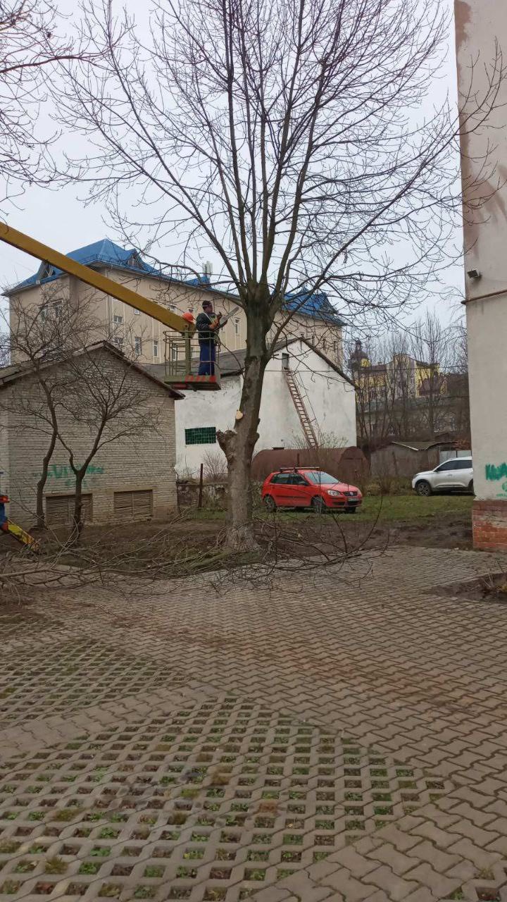 605148386 1443617567765634 4126727139858349338 n