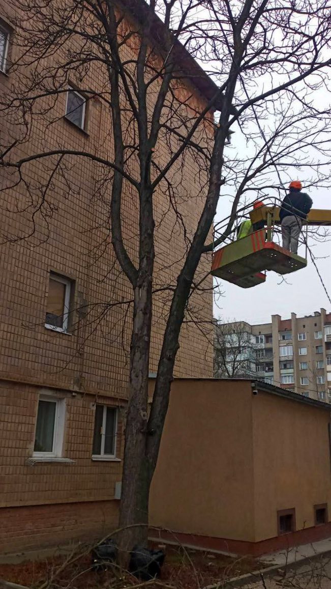 605605296 1443617617765629 9030751342009047242 n