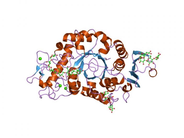 PDB 1rp8 EBI