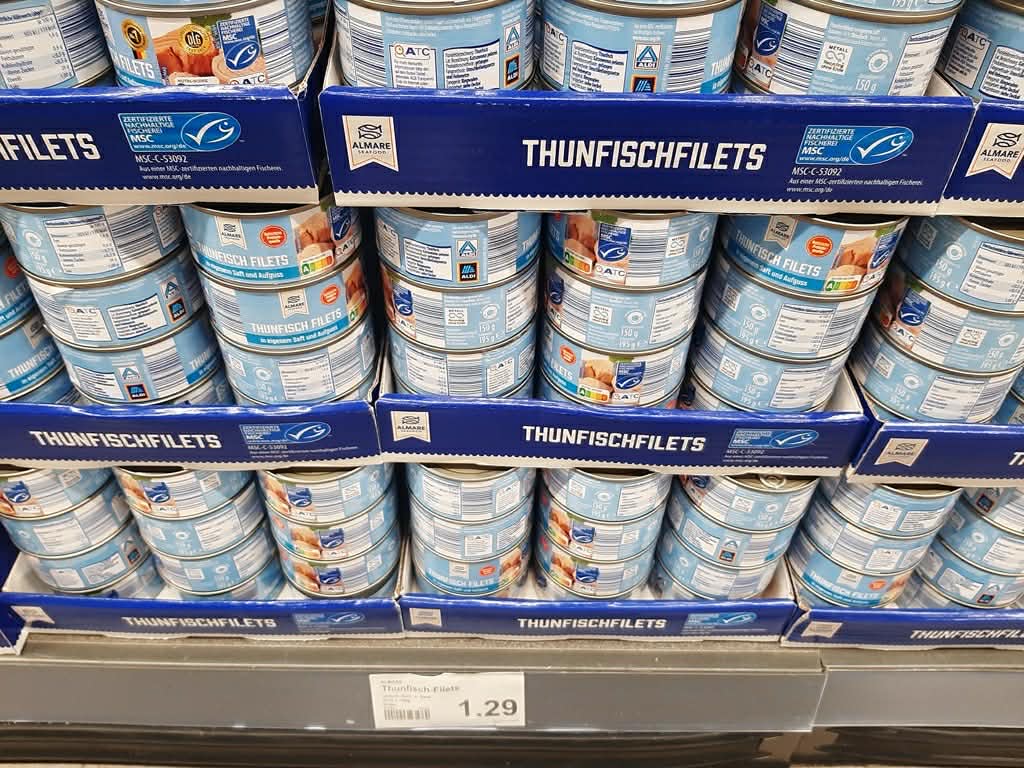 Тимчасовий захист vs статус біженця: як живуть українці в Німеччині (ФОТО) 7 cbe639e8 d4eb 497a b064 468f25a2533e