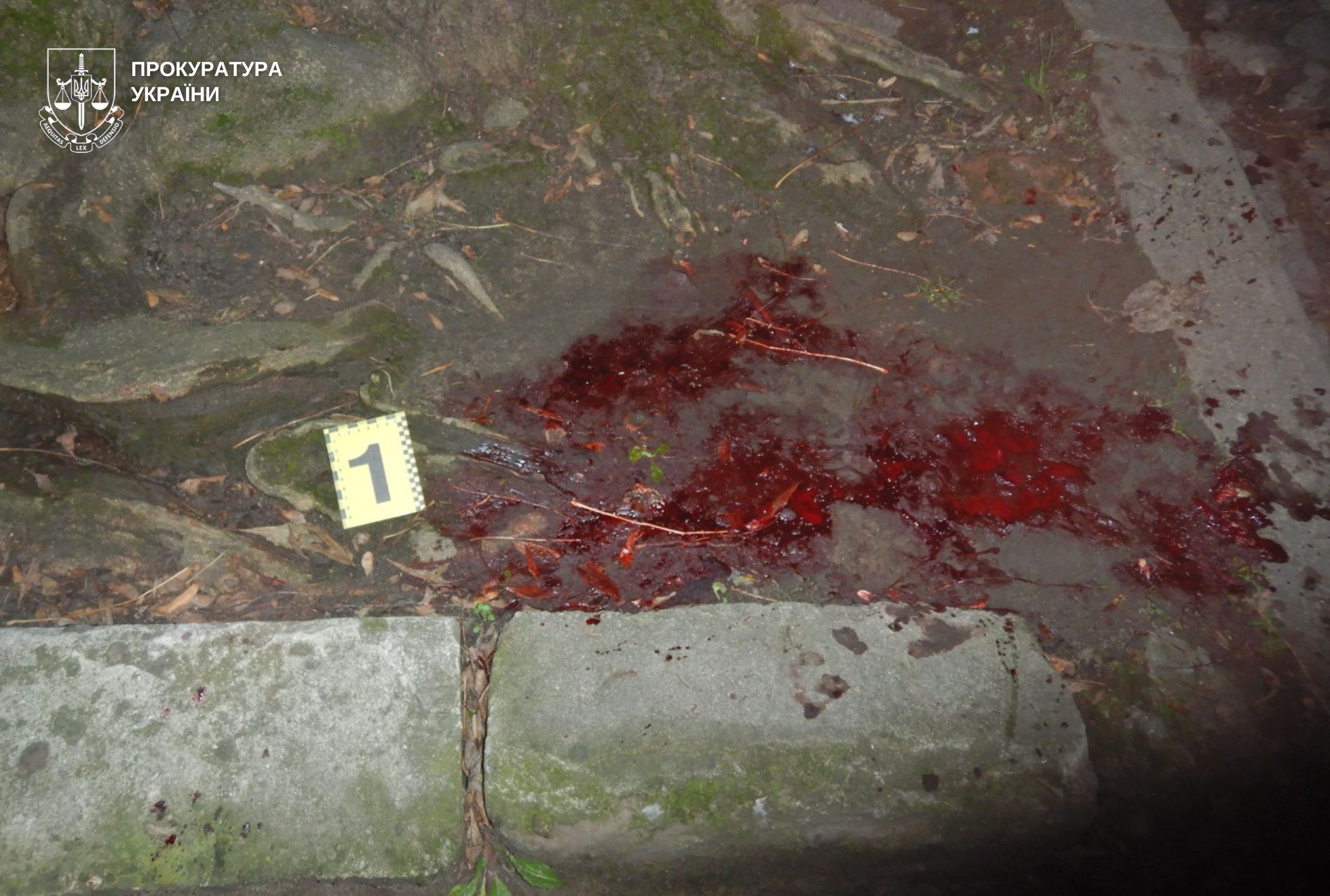 lviv 1764841451 new lviv 121.3