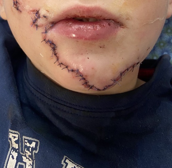 615234084 1438966754897910 2103468961232423214 n